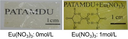 Salt-induced reinforcement of anionic bio-polyureas with high transparency