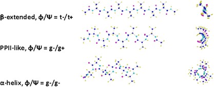 Conformational analyses of an alanine oligomer during chain propagation using quantum chemical calculations