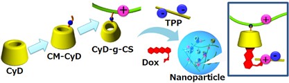 Facile preparation of cyclodextrin-grafted chitosans and their conversion into nanoparticles for an anticancer drug delivery system
