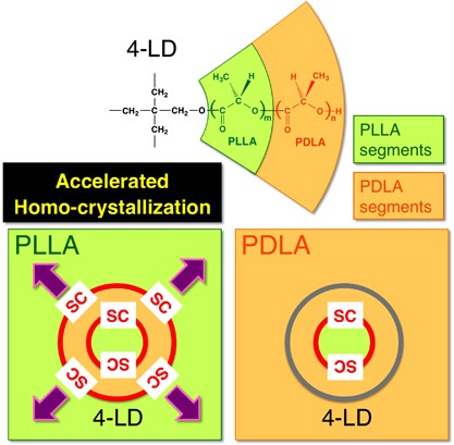 Effect of incorporated star-shaped four-armed stereo diblock poly(lactide) on the crystallization behavior of linear one-armed poly(<span class="small-caps u-small-caps">l</span>-lactide) or poly(<span class="small-caps u-small-caps">d</span>-lactide)