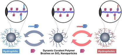 Radical crossover reactions of alkoxyamine-based dynamic covalent polymer brushes on nanoparticles and the effect on their dispersibility