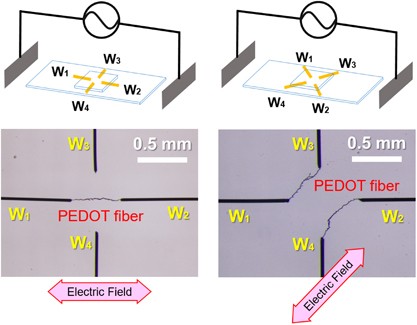 Synthesis of linear PEDOT fibers by AC-bipolar electropolymerization in a micro-space