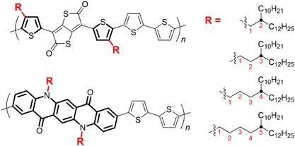 Effects of branching position of alkyl side chains on ordering structure and charge transport property in thienothiophenedione- and quinacridone-based semiconducting polymers