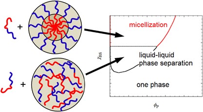 Competition between the micellization and the liquid–liquid phase separation in amphiphilic block copolymer solutions