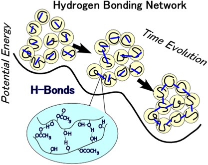 Memory effect in elastic modulus of a hydrogen-bonding polymer network