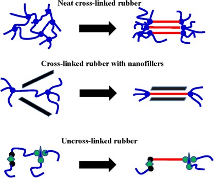 Features of strain-induced crystallization of natural rubber revealed by experiments and simulations