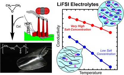 Ion-conductive polymer electrolytes based on poly(ethylene carbonate) and its derivatives