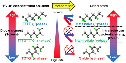 Effect of solvents on the crystal formation of poly(vinylidene fluoride) film prepared by a spin-coating process