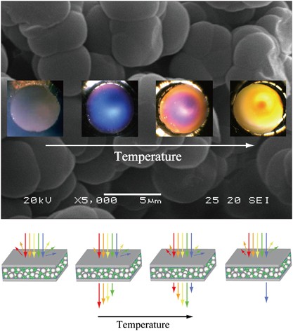 Angle-independent colored materials based on the Christiansen effect using phase-separated polymer membranes