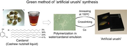 Green polymer chemistry: the biomimetic oxidative polymerization of cardanol for a synthetic approach to ‘artificial urushi’