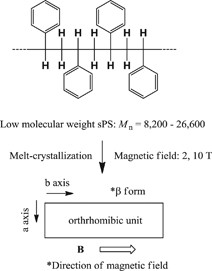 Magnetic-field-induced alignment of syndiotactic polystyrene