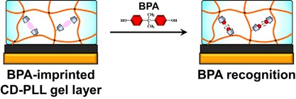 QCM sensing of bisphenol A using molecularly imprinted hydrogel/conducting polymer matrix