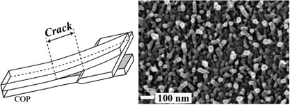 Study of the adhesion and interface of the low-temperature bonding of vacuum ultraviolet-irradiated cyclo-olefin polymer using electron microscopy