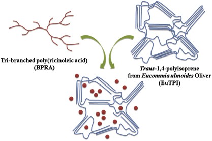 Improvement of the rheological properties of <i>trans</i>-1,4-polyisoprene from <i>Eucommia ulmoides</i> Oliver by tri-branched poly(ricinoleic acid)