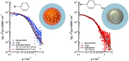 Anomalous small-angle X-ray scattering study on the spatial distribution of hydrophobic molecules in polymer micelles