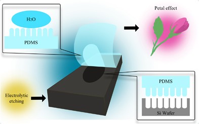 Fabrication of a poly(dimethylsiloxane) microstructured surface imprinted from patterned silicon wafer with a self-cleaning property