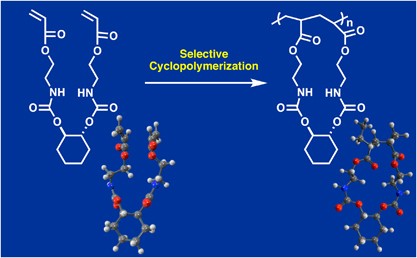 Cyclopolymerization of a bisacrylate through selective formation of a 19-membered ring