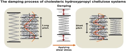 Characteristic dynamic rheological responses of nematic poly(<i>p</i>-phenylene terephthalamide) and cholesteric hydroxypropyl cellulose phases