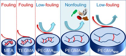 Structural effect of poly(ethylene glycol) segmental length on biofouling and hemocompatibility
