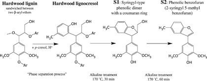 Selective conversion of hardwood lignin into syringyl methyl benzofuran using <i>p</i>-cresol