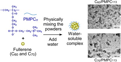 Water-soluble complex formation of fullerenes with a biocompatible polymer