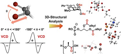 Studying the stereostructures of biomolecules and their analogs by vibrational circular dichroism