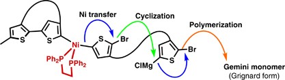 Twisting poly(3-substituted thiophene)s: cyclopolymerization of gemini thiophene monomers through catalyst-transfer polycondensation