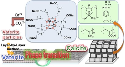 Fabrication of polymer-calcite composite thin films by phase transition of vaterite composite particles with octacarboxy-terminated T<sub>8</sub>-caged silsesquioxane