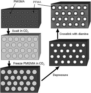 Cross-linked nanocellular polymer films: water- and oil-repellent anti-reflection coating