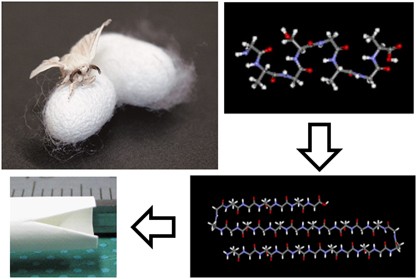 Structures of silk fibroin before and after spinning and biomedical applications