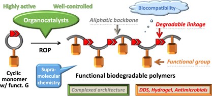 Biodegradable functional biomaterials exploiting substituted trimethylene carbonates and organocatalytic transesterification