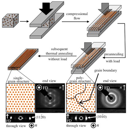 Complete and comprehensive orientation of cylindrical microdomains in a block copolymer sheet