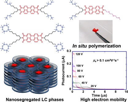 Integration of electro-active π-conjugated units in nanosegregated liquid-crystalline phases