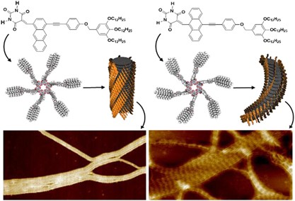 Supramolecular polymerization of hydrogen-bonded rosettes with anthracene chromophores: regioisomeric effect on nanostructures