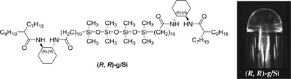 Physical gelation by amides derived from <i>trans</i>-1,2-diaminocyclohexane and their tetrasiloxane-based gelators