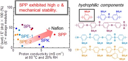 Fluorine-free sulfonated aromatic polymers as proton exchange membranes