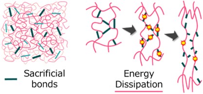 Generalization of the sacrificial bond principle for gel and elastomer toughening