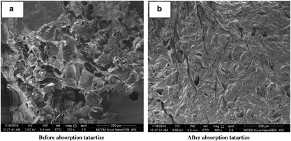 Hydrogel beads based on oxidized corn starch cross-linked with gelatin for tartrazine adsorption from aqueous environments