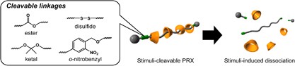 Rational design of stimuli-cleavable polyrotaxanes for therapeutic applications