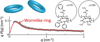 Scattering function of semi-rigid cyclic polymers analyzed in terms of worm-like rings: cyclic amylose tris(phenylcarbamate) and cyclic amylose tris(<i>n</i>-butylcarbamate)