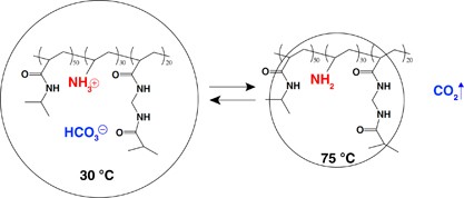 Design and preparation of thermo-responsive vinylamine-containing micro-gel particles for reversible absorption of carbon dioxide