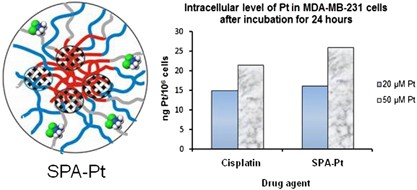 Cisplatin delivery vehicles based on stabilized polymeric aggregates comprising poly(acrylic acid) chains