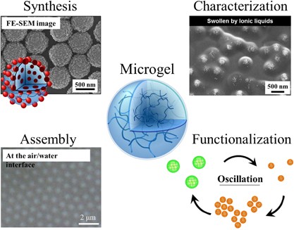 Polymeric hydrogel microspheres: design, synthesis, characterization, assembly and applications