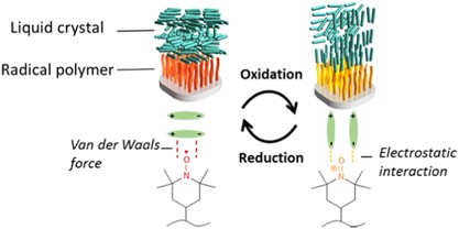 Grafted radical polymer brush for surface-driven switching of chiral nematic liquid crystals