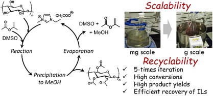 Recyclable and scalable organocatalytic transesterification of polysaccharides in a mixed solvent of 1-ethyl-3-methylimidazolium acetate and dimethyl sulfoxide