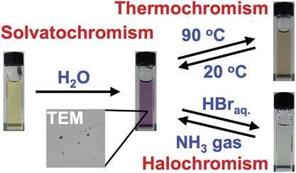 Polythiophene nanoparticles that display reversible multichromism in aqueous media