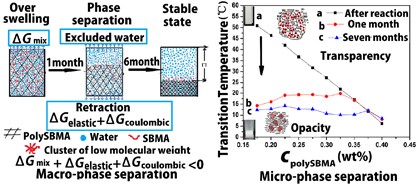 Phase behavior of a high-concentration sulfobetaine zwitterionic polymer solution