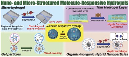 Design of nano- and micro-structured molecule-responsive hydrogels