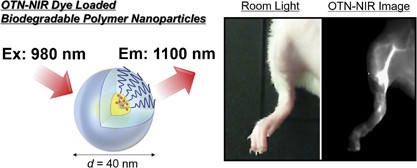 Over-1000 nm near-infrared fluorescent biodegradable polymer nanoparticles for deep tissue <i>in vivo</i> imaging in the second biological window