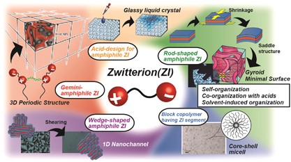 Zwitterions as building blocks for functional liquid crystals and block copolymers